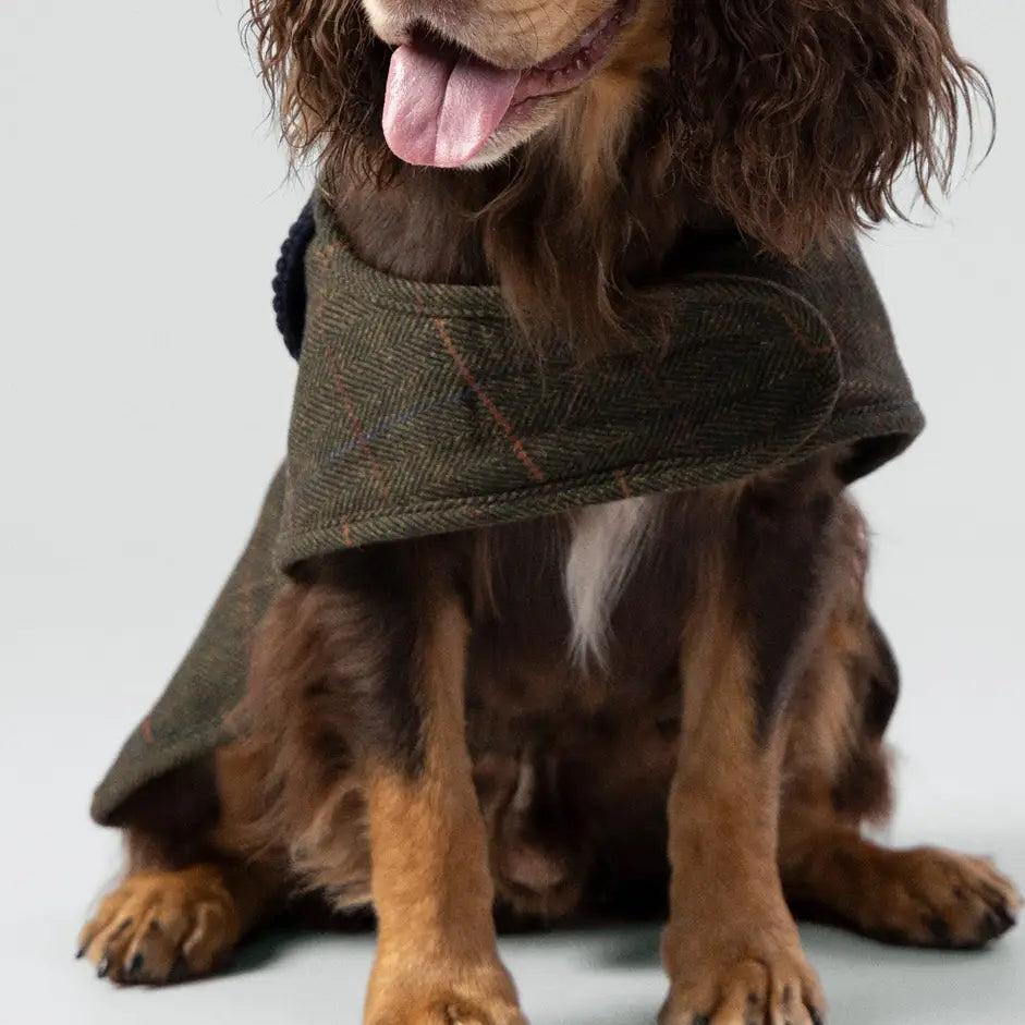 Hackett X Hugo Hudson Dark Green Checked Tweed Dog Jacket