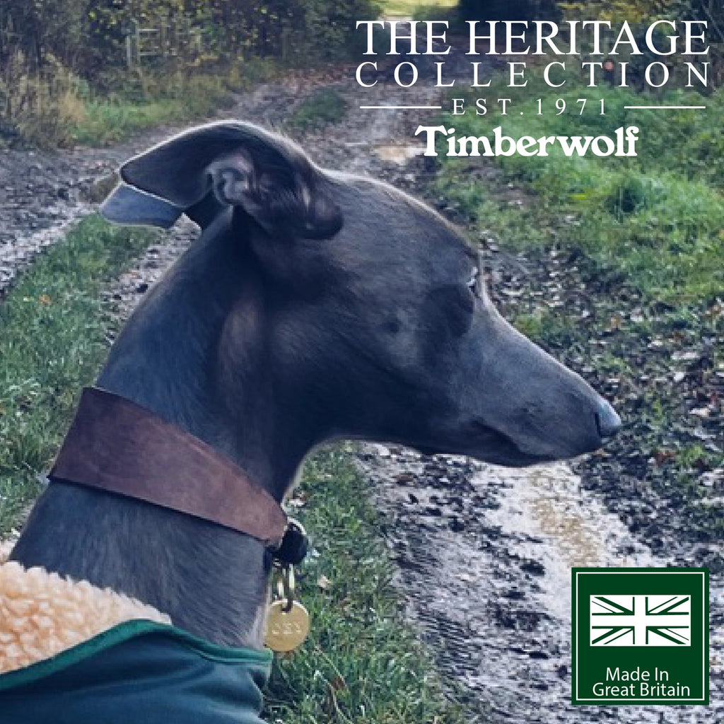 Timberwolf Leather Hound Collar