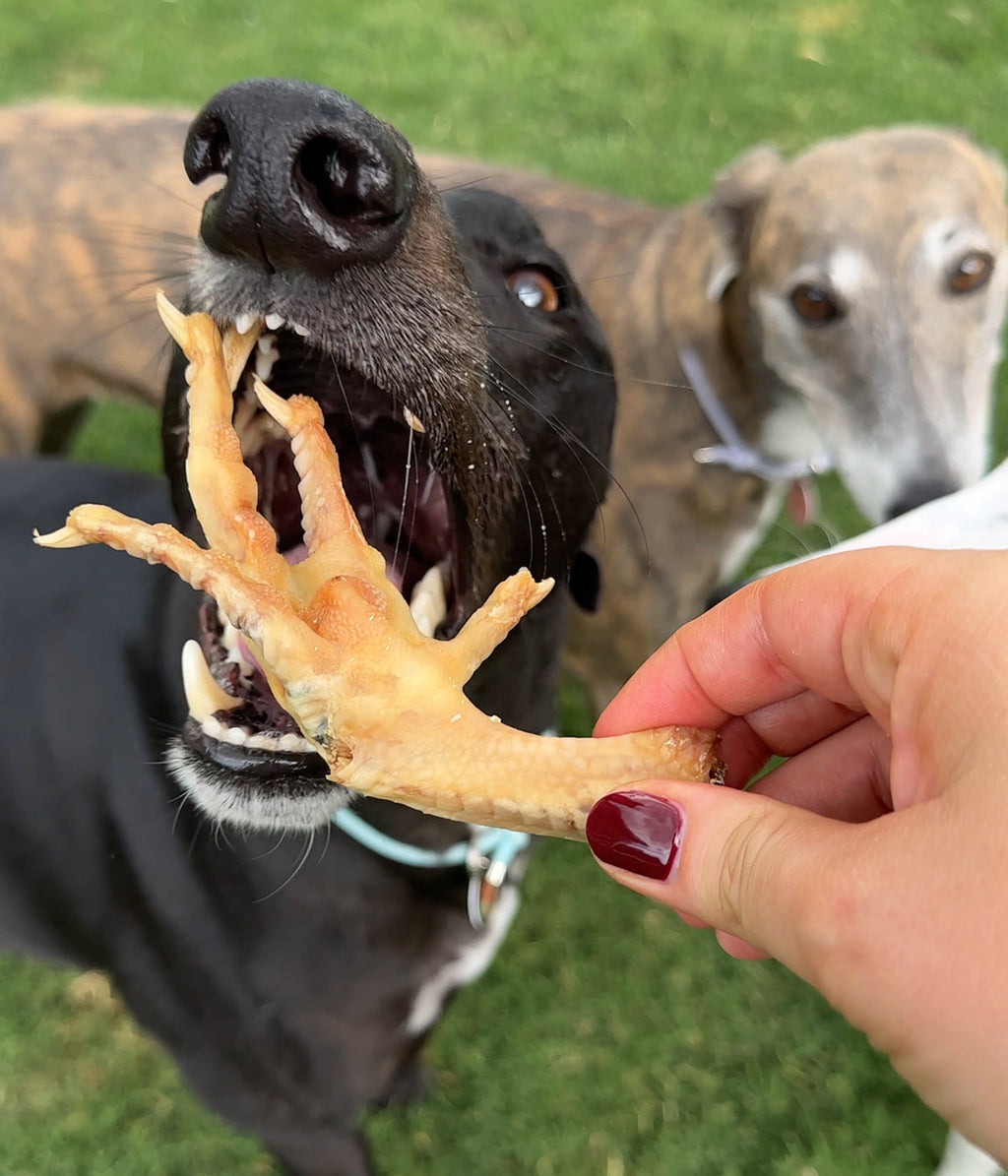 Chicken Feet 1kg Treats For Dogs