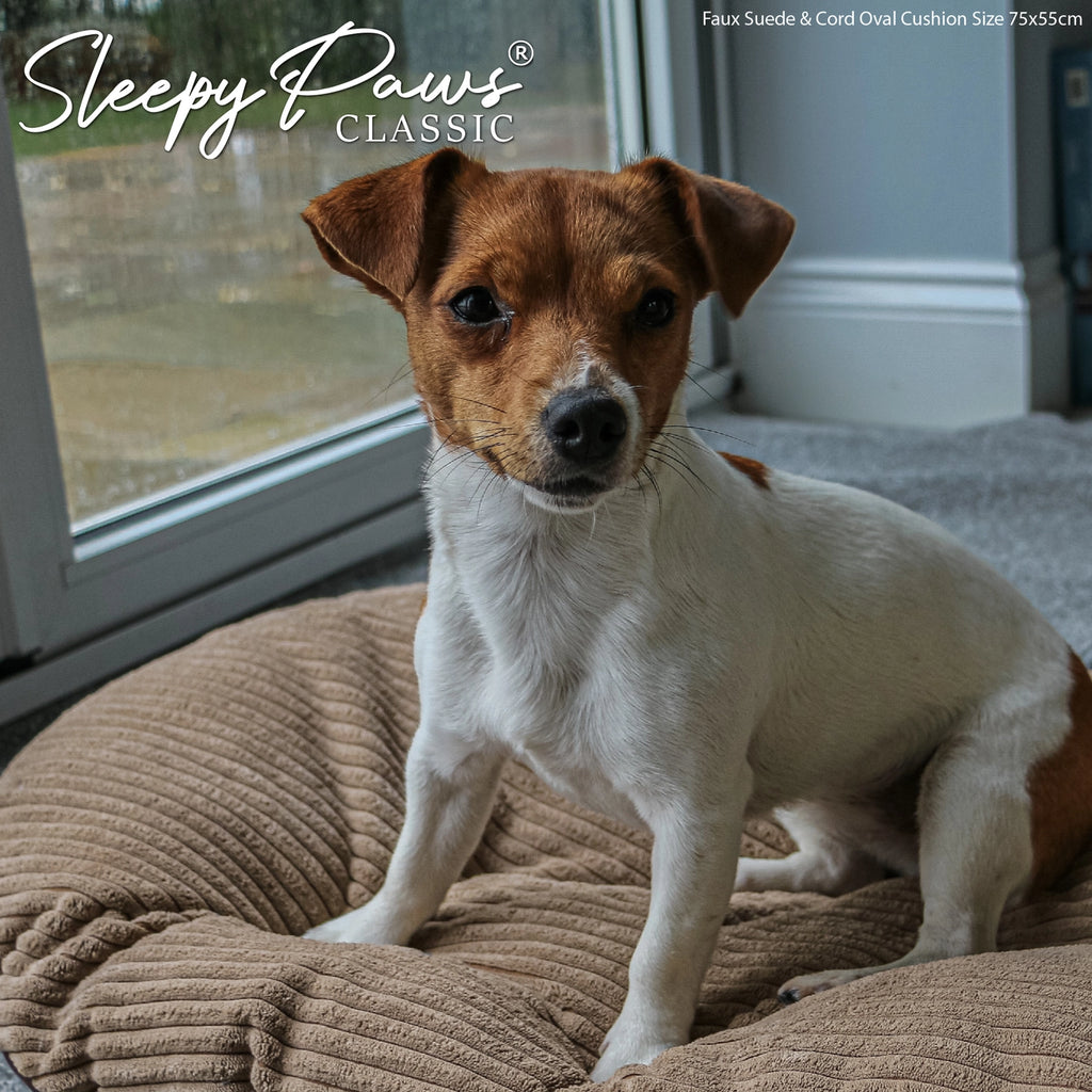 Sleepy Paws Classic Faux Suede & Cord Oval Cushion
