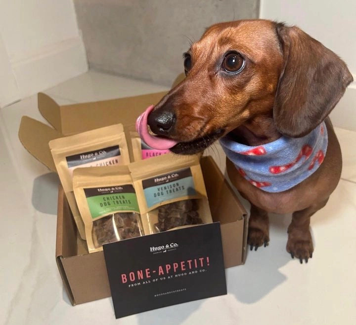 Natural chicken dog treats