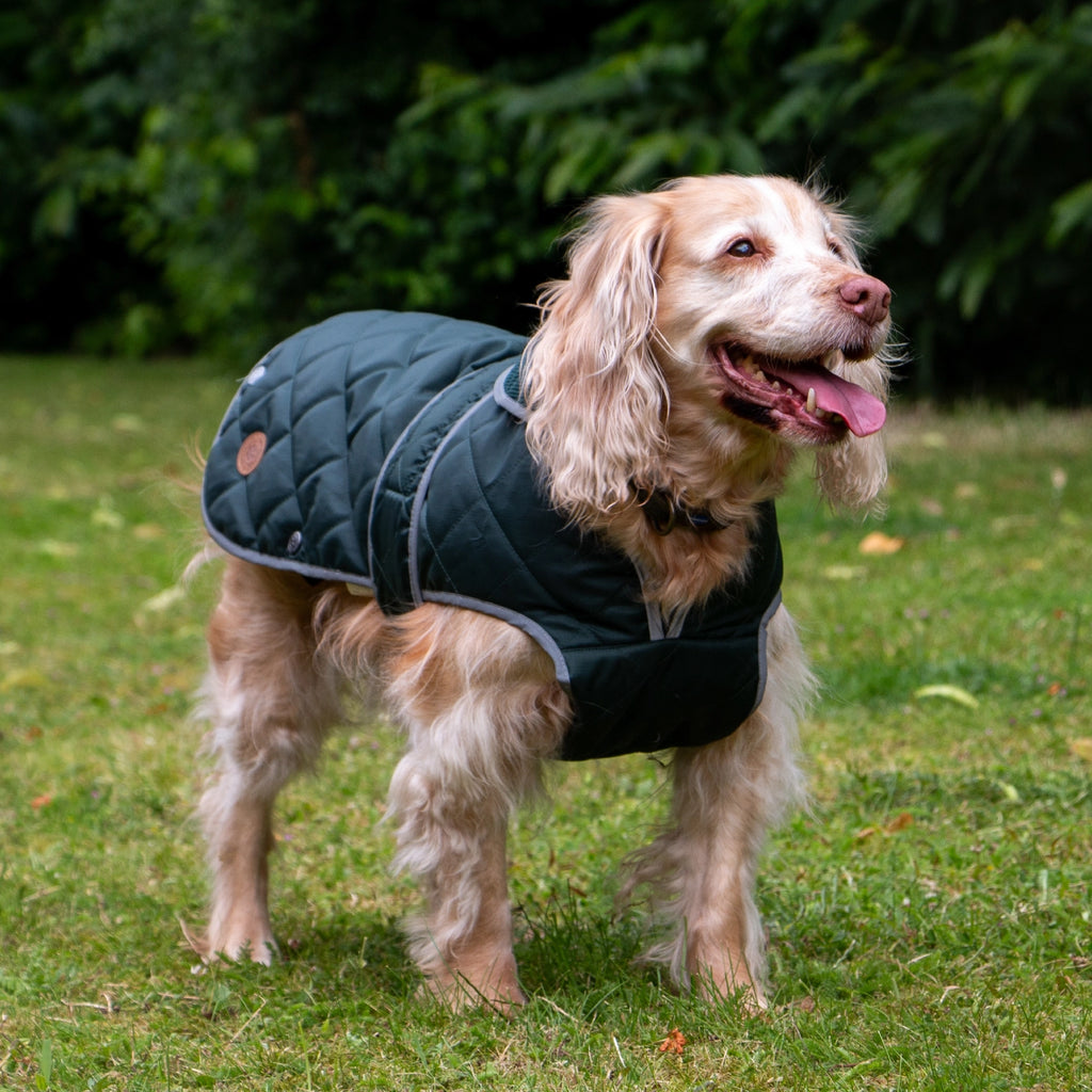 Heritage Green Quilt Dog Coat