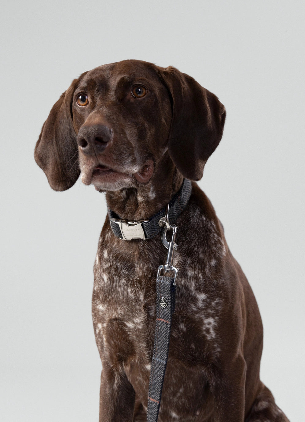 Hackett X Hugo Hudson Grey Checked Tweed Dog Collar