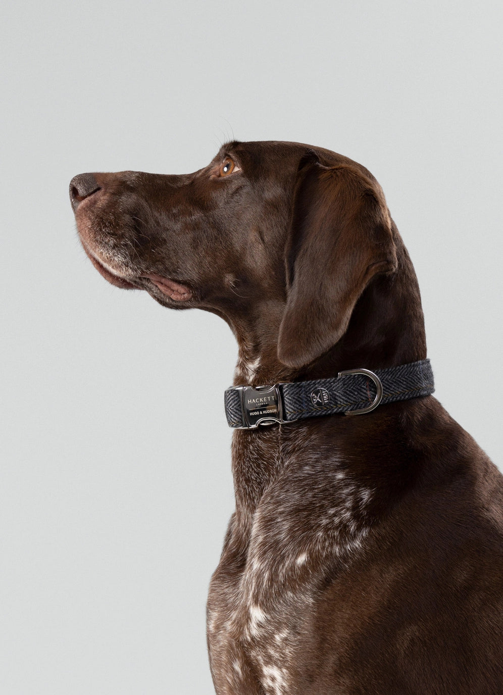 Hackett X Hugo Hudson Grey Checked Tweed Dog Collar