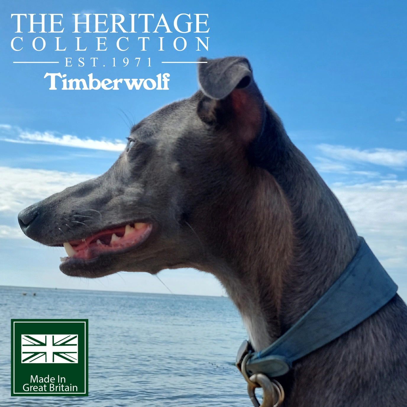 Timberwolf Leather Hound Collar