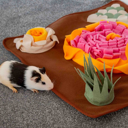Burrow & Squeak Veg Patch Snuffle Mat For Foraging
