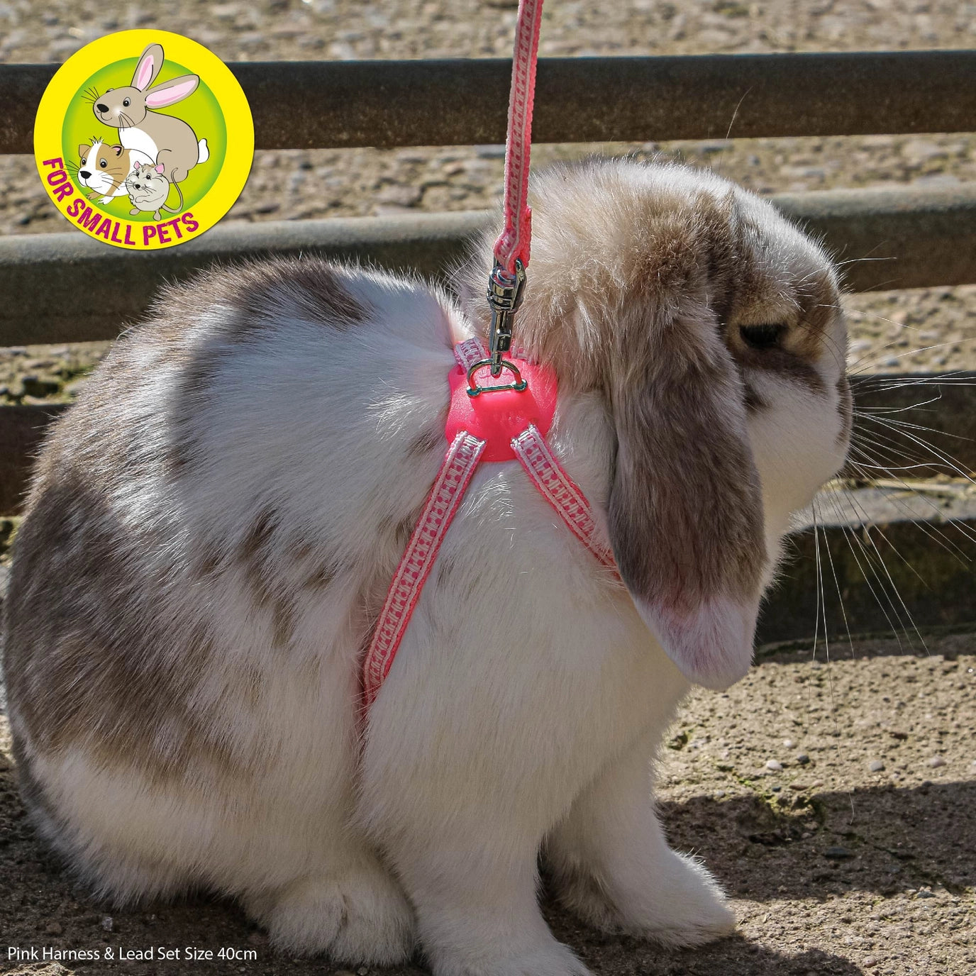 Rabbit & Guinea Pig Harness Lead Set