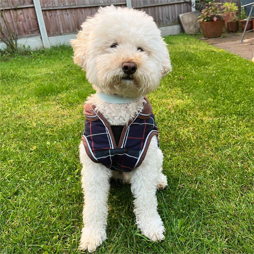 HugglePets Legacy Dog Coat Herringbone