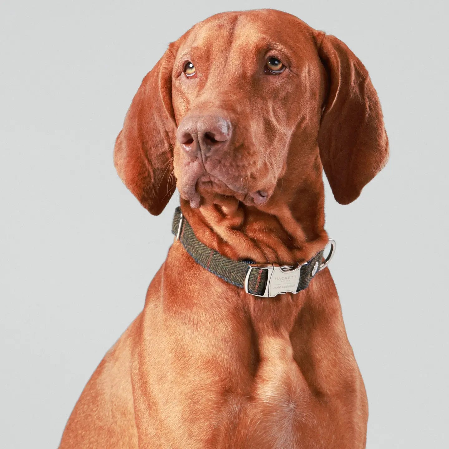 Hackett X Hugo Hudson Dark Green Checked Tweed Dog Collar