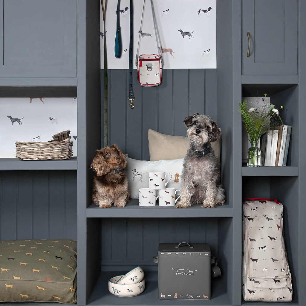 Walkies Storage Tin