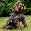Heritage Wax Cotton Dog Coat Xs-Xxl