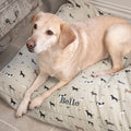 Woof Pet Mattress Bed